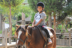 FAH_0955