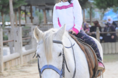 FAH_6430_600x600