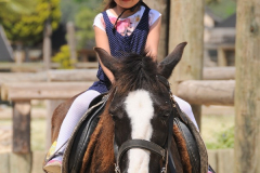 FAH_9734_600x600