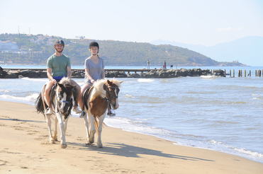 horse safari park